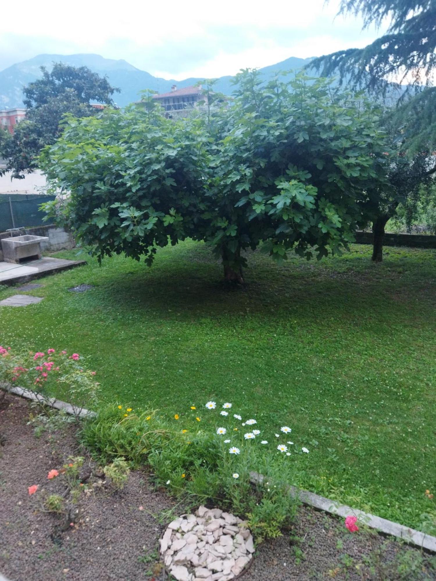 Rose Garden House Wi-Fi Apartment Riva del Garda Luaran gambar